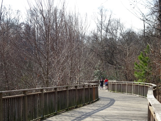 Raised walkway in Piedmont Park, Atlanta GA